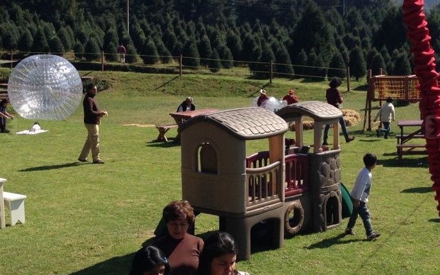  zorbing in the facilities 